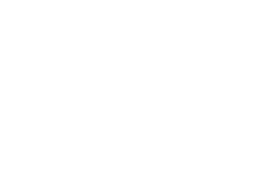 Logo underArmour
